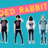 Ded Rabbit, Snide Rhythms, Eyes of Others, Black Spring DJs